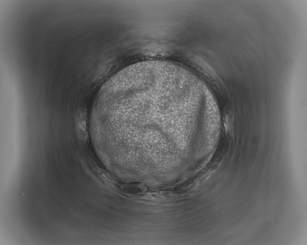 X0000112411396200909041347