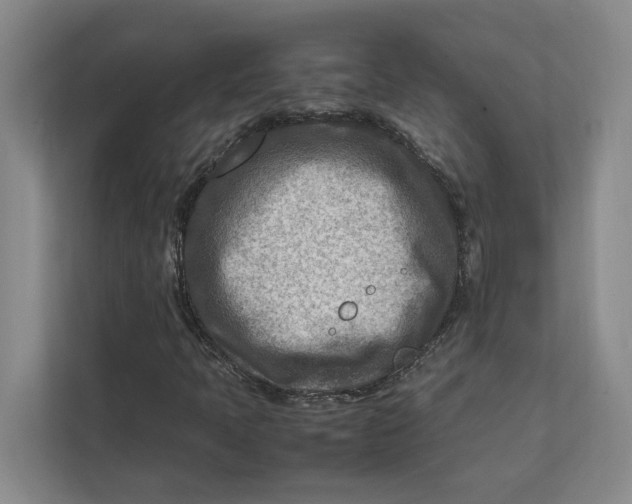 X0000112411397200909041347