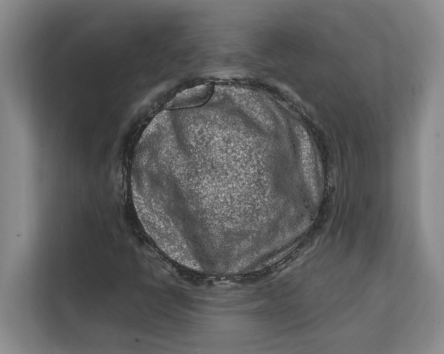 X0000112411398200909041347