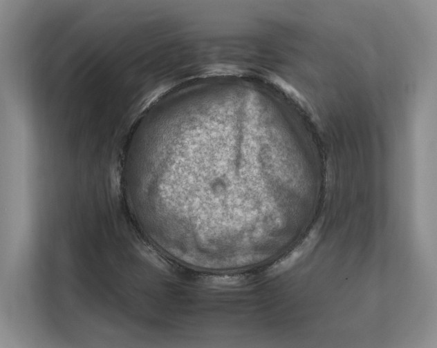 X0000112411401200909041347