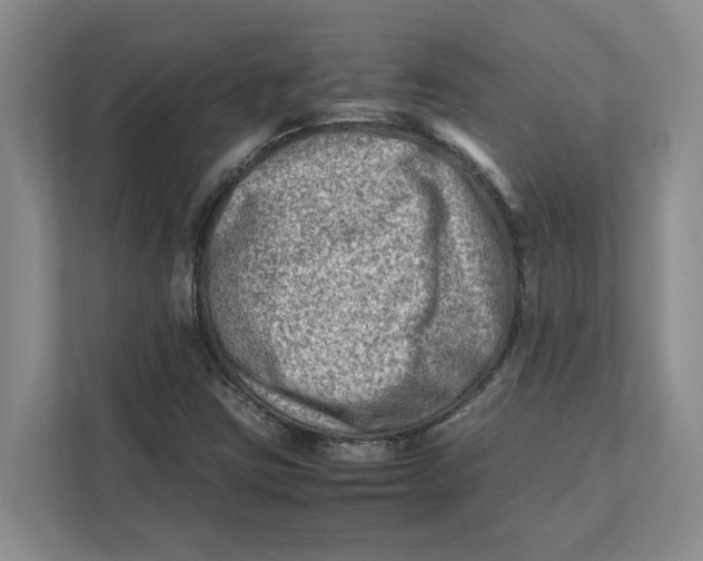 X0000112411403200909041347