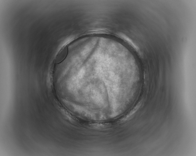 X0000112411405200909041347