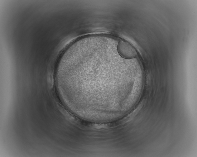 X0000112411407200909041347