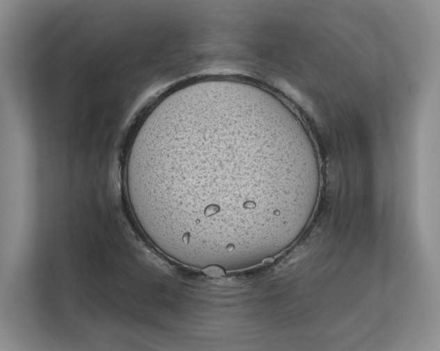 X0000112411408200909041347