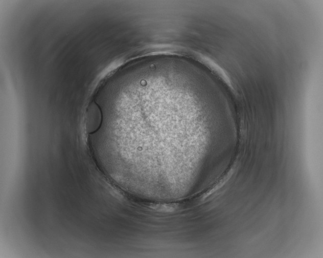 X0000112411411200909041347