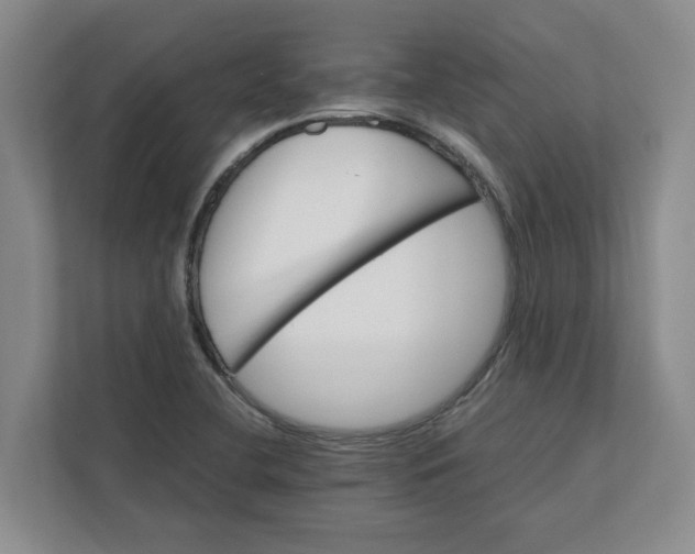 X0000112411412200909041347