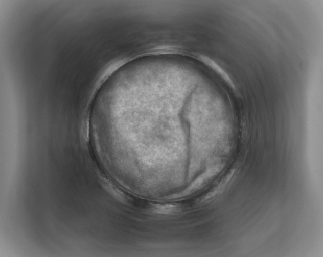 X0000112411413200909041347