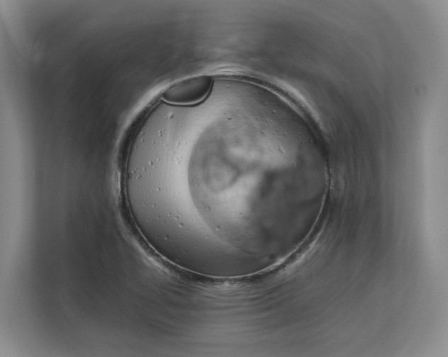 X0000112411414200909041347