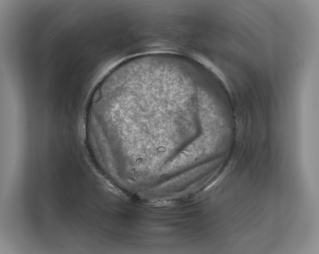 X0000112411415200909041347