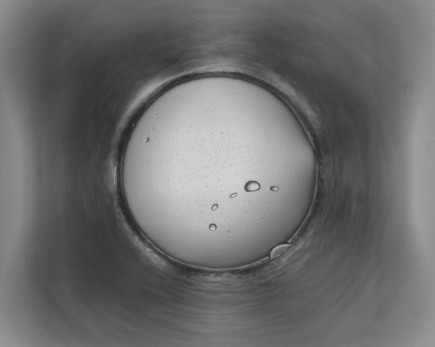 X0000112411416200909041347