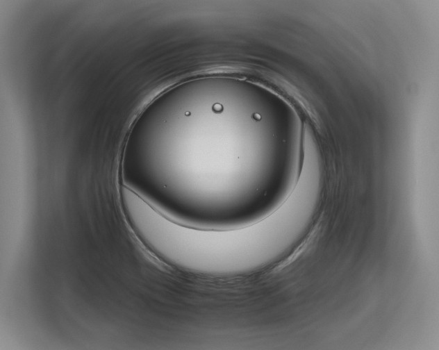 X0000112411417200909041347