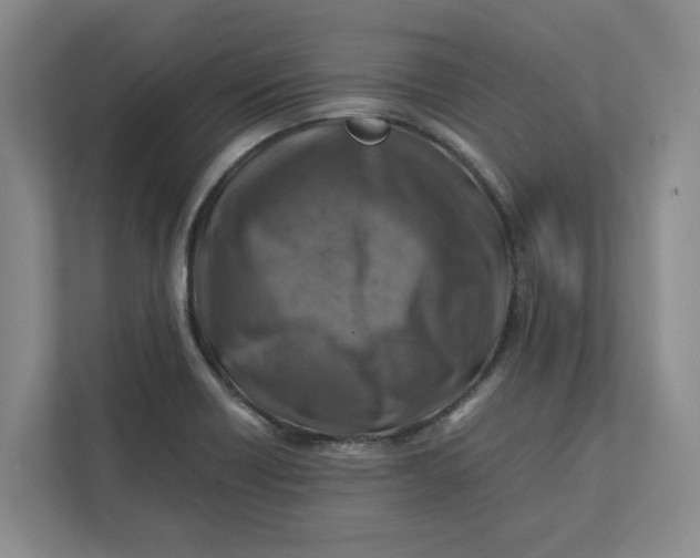 X0000112411418200909041347