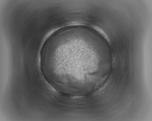 X0000112411419200909041347