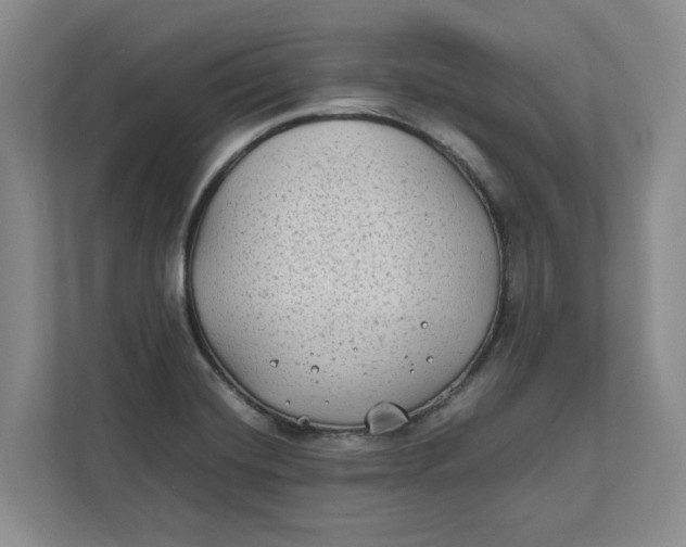 X0000112411420200909041347