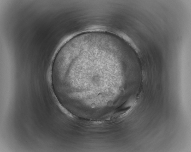 X0000112411421200909041347