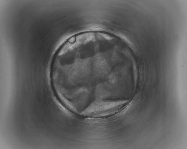 X0000112411422200909041347