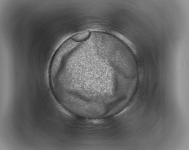 X0000112411423200909041347