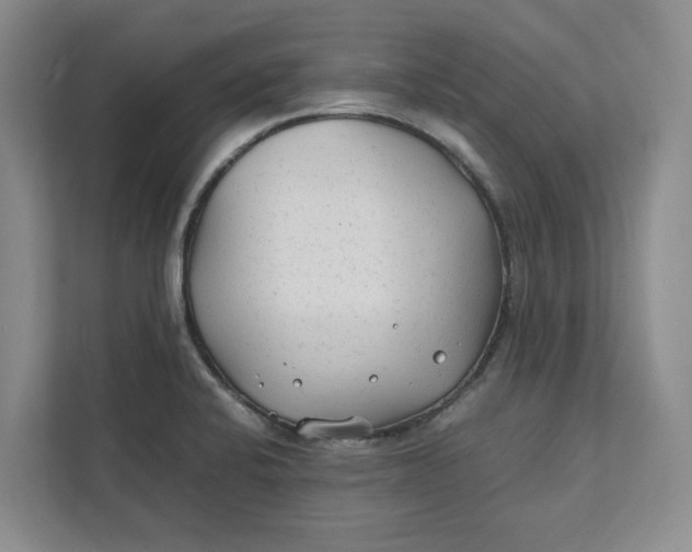 X0000112411424200909041347