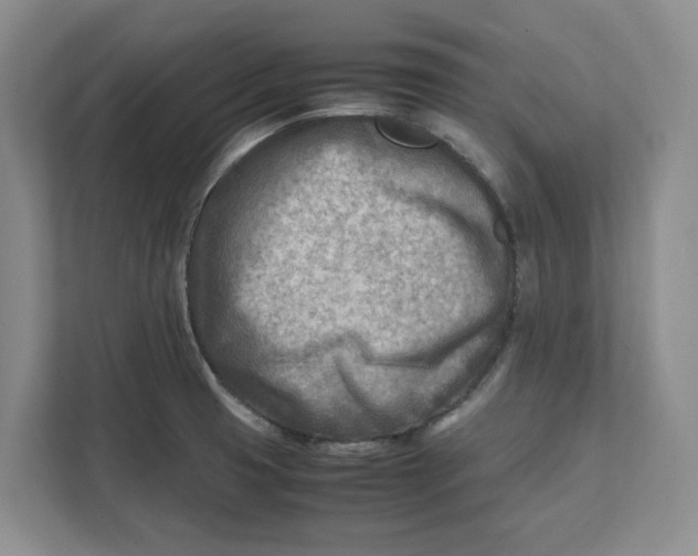 X0000112411425200909041347