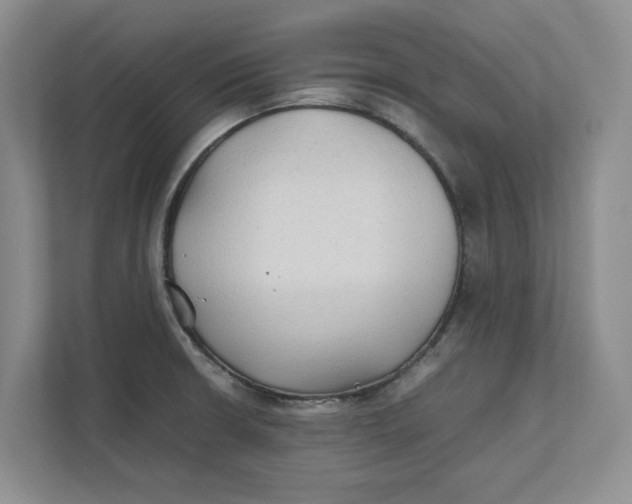 X0000112411426200909041347