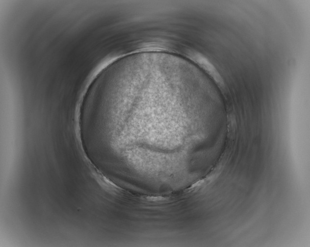 X0000112411427200909041347