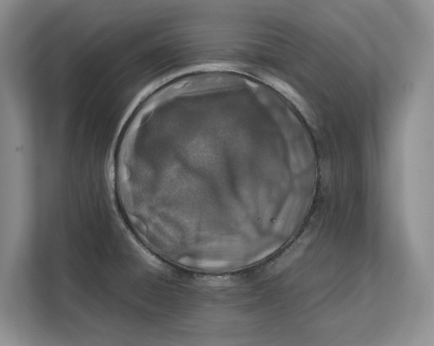 X0000112411428200909041347