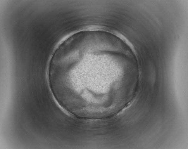 X0000112411429200909041347