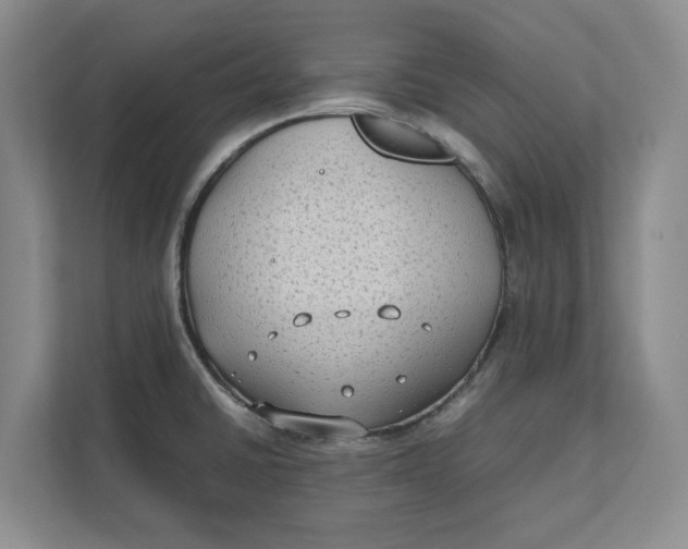 X0000112411430200909041347