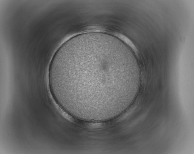 X0000112411431200909041347