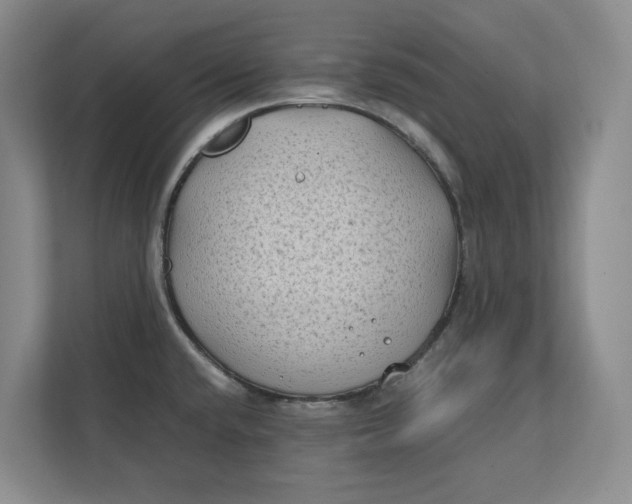 X0000112411432200909041347