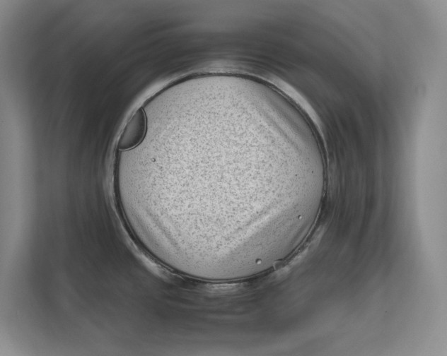 X0000112411437200909041347