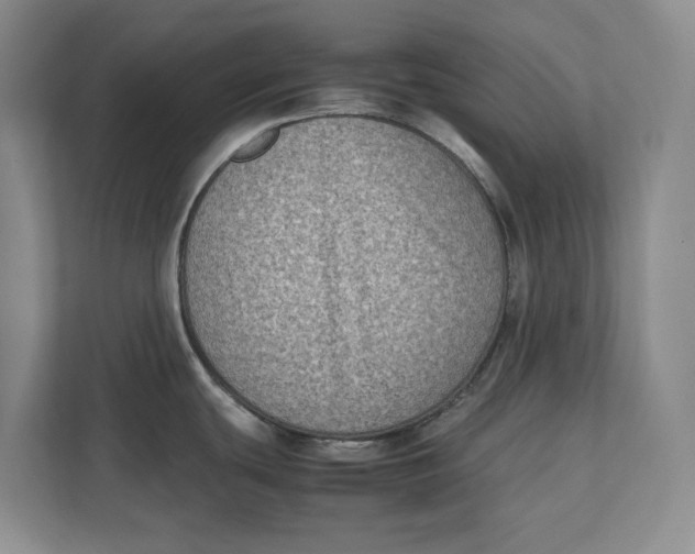 X0000112411439200909041347