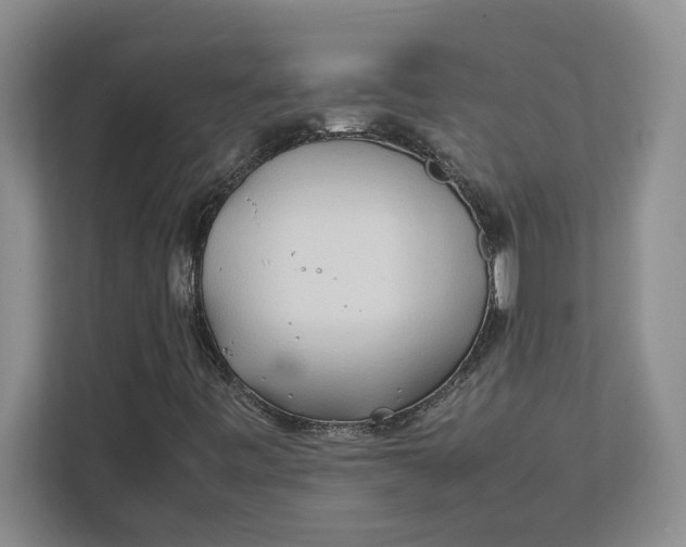 X0000112411443200909041346