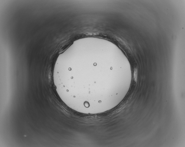 X0000112411444200909041346