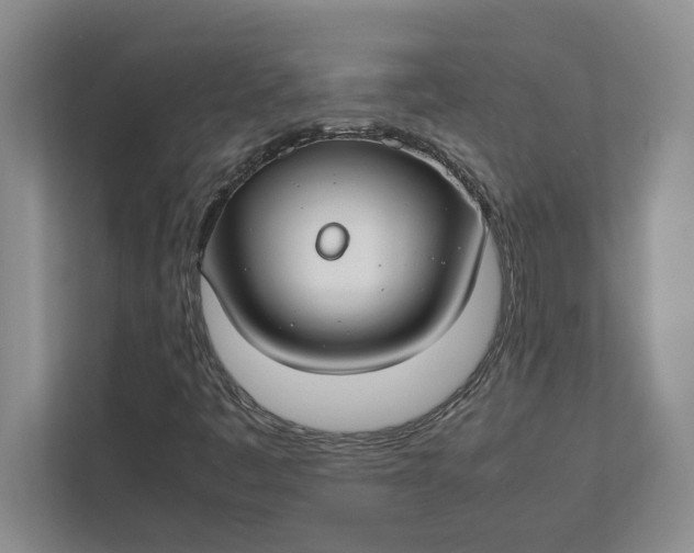 X0000112411445200909041346