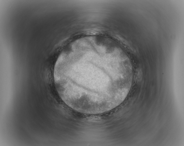 X0000112411446200909041346