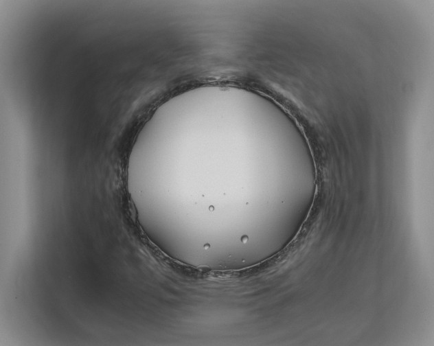 X0000112411447200909041346