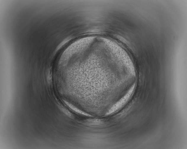 X0000112411450200909041346