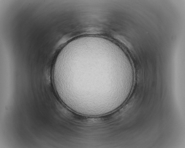 X0000112411451200909041346