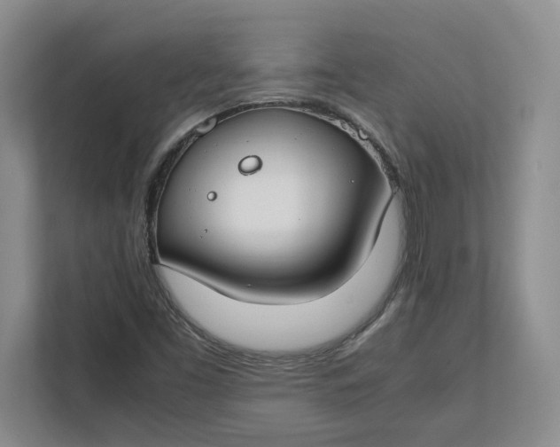 X0000112411453200909041346