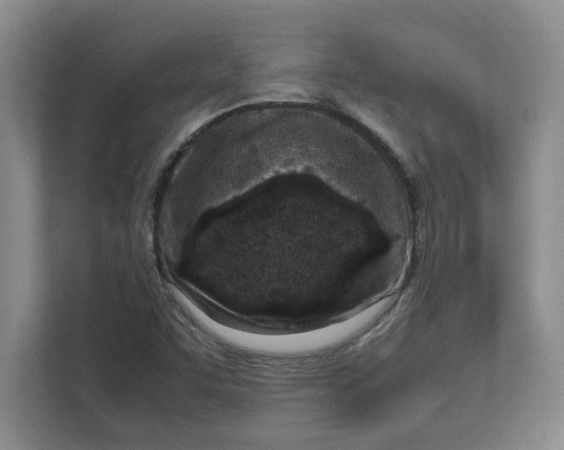 X0000112411455200909041346