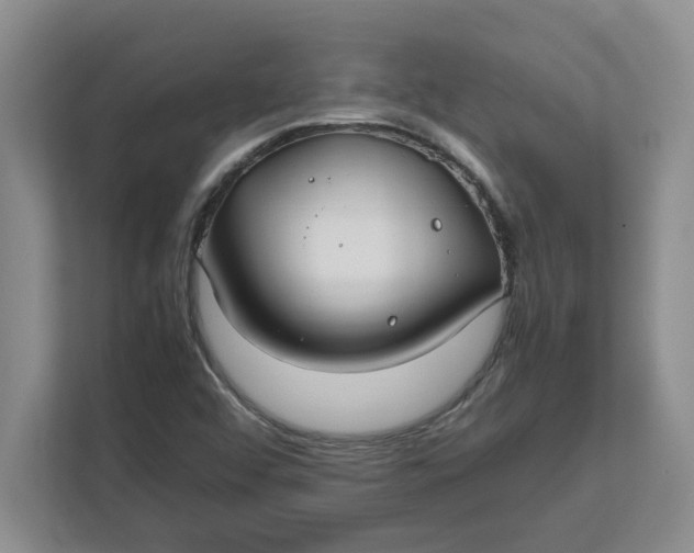 X0000112411456200909041346