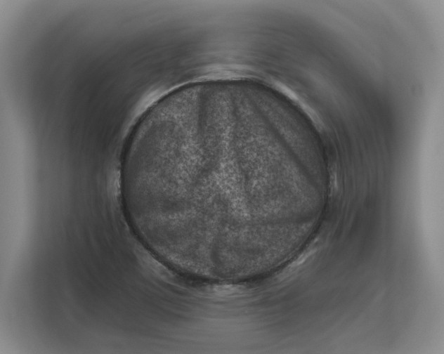 X0000112411459200909041346