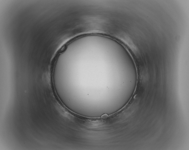 X0000112411460200909041346