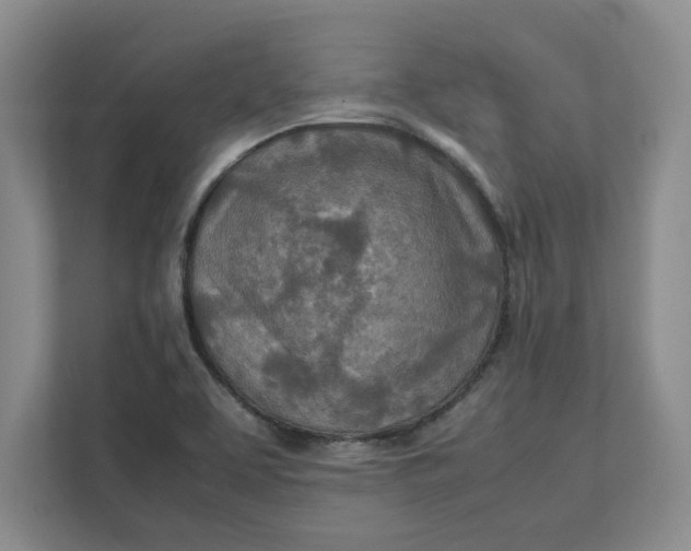 X0000112411463200909041346