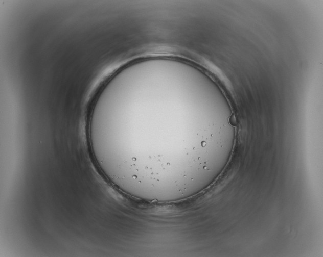 X0000112411464200909041346