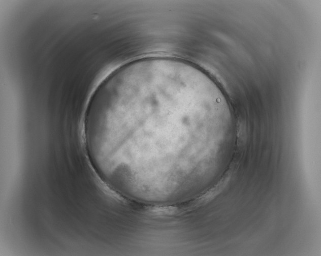 X0000112411466200909041346