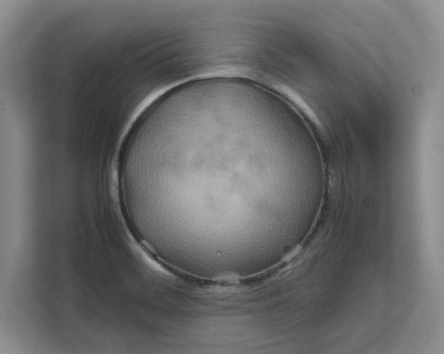 X0000112411468200909041346