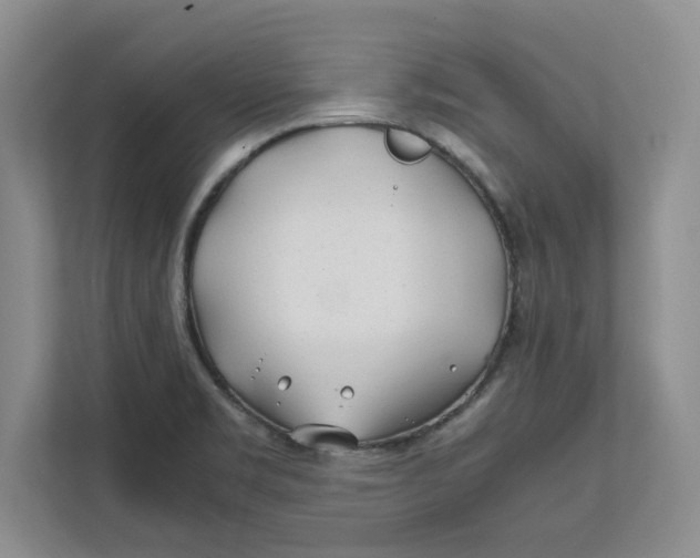 X0000112411469200909041346