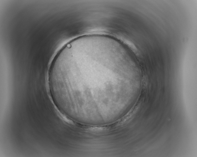 X0000112411470200909041346